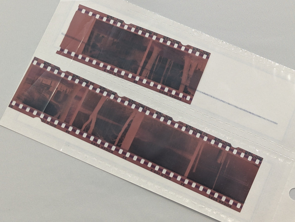 35mm Negatives transfer to digital