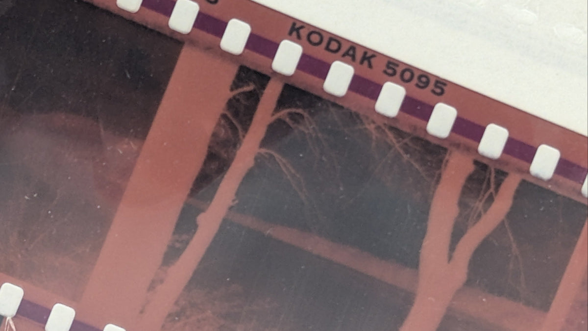 35mm Negatives transfer to digital