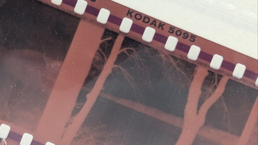 35mm Negatives transfer to digital